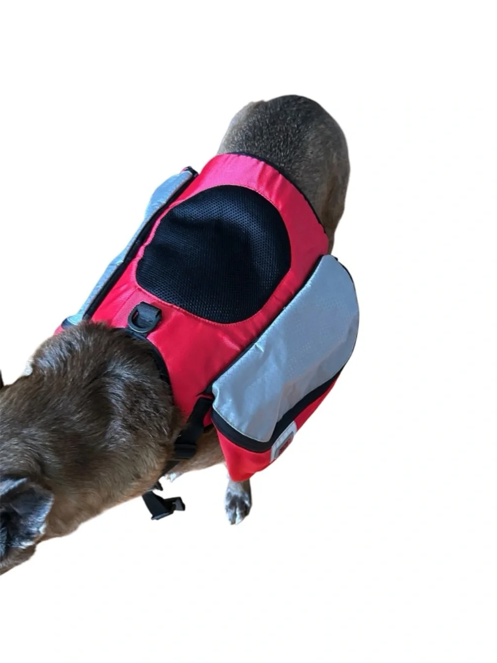 Kong Red and Grey Saddlebag Backpack Harness, size L/XL